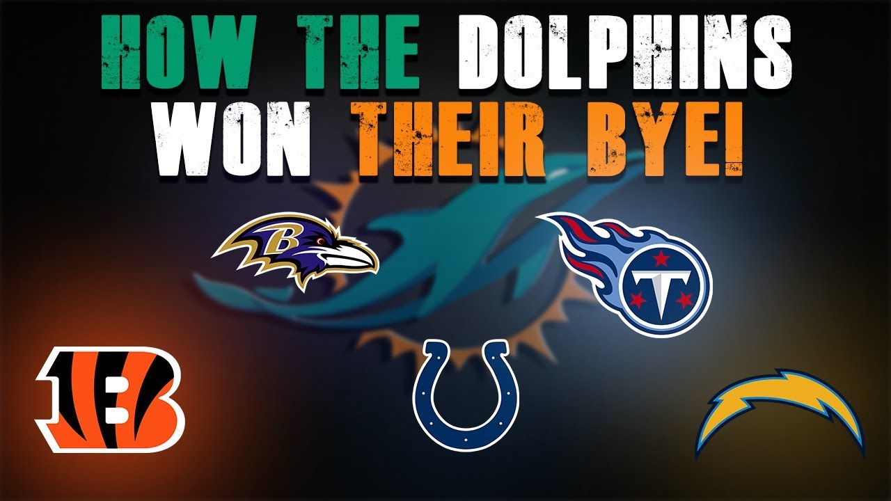 How The Miami Dolphins Won Their Bye Week!/ Grant To IR! YouTube