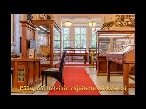 Video: Ukrainalainen Lahjoitti Museolle Kirotun Muinaisen Patsaan - Vaihtoehtoinen Näkymä