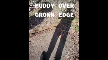MUDDY OVER GROWN EDGE HOW TO CUT OVERGROWN EDGES