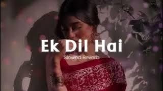 Ek Dil Hai - [Slowed Reverb] Ek Rishtaa | Akshay Kumar, Karisma Kapoor | Hindi Romantic Song 