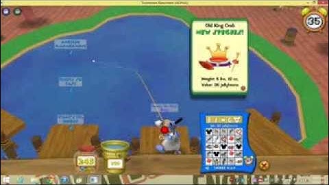 Horsey Mc Neigh Neigh   A New Beginning