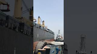 Big Ship Bringing Electric Buses to Kandla Port | Amazing Cargo Operation😮🚢