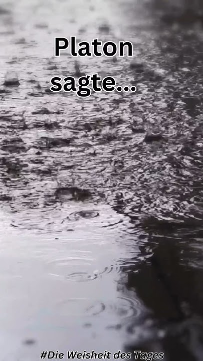 Platon sagte… liebe sprüche leben YouTube