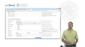 Búsqueda avanzada de imágenes con Google |  | UPV