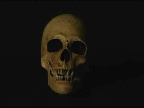 animated scary skull youtube