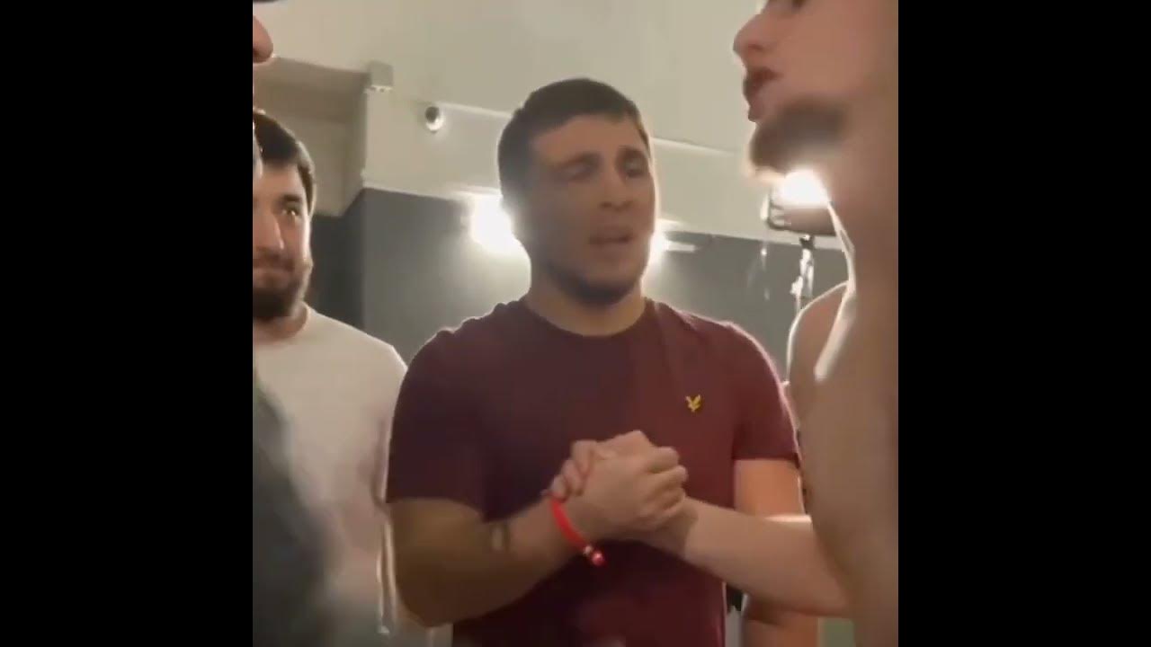 Бой шавхал