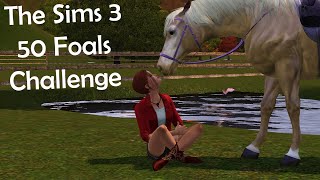 The Sims 3 50 Foals Challenge (Part 30) Sell Them Not Puppies