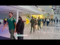 Exclusive  pak cricket team landed in australia  reached canberra for practice match