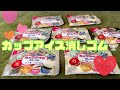 サカモト〜カップアイス消しゴム〜　Japandse erasers