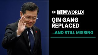 China replaces foreign minister Qin Gang after mysterious absence | The World