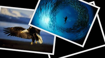 Cyberlink PD 7 Ultra/ Slideshow Feature/ 7 Options