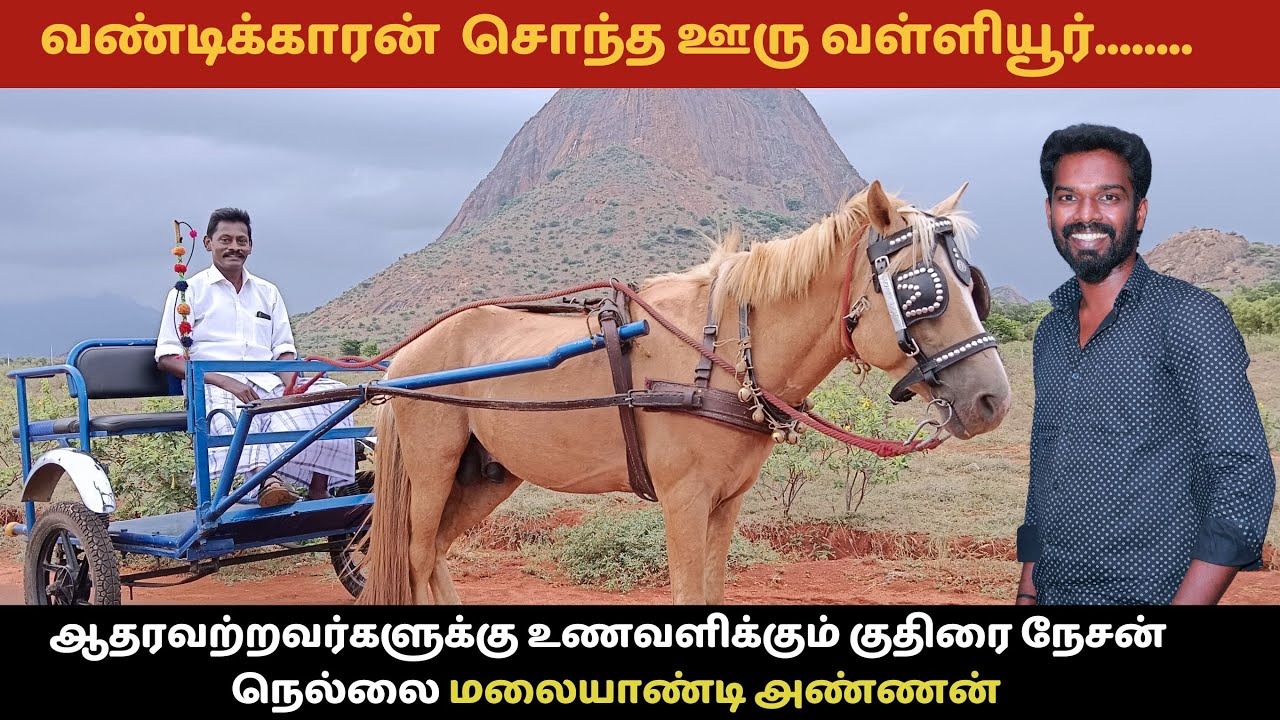 ஆதரவற்றவர்களுக்கு உணவளிக்கும் குதிரை நேசன் நெல்லை மலையாண்டி அண்ணன்| வண்டிக்காரன் சொந்த ஊரு வள்ளியூர்