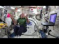 Newton's Third Law in Action: Exploring Forces in Space and on Earth