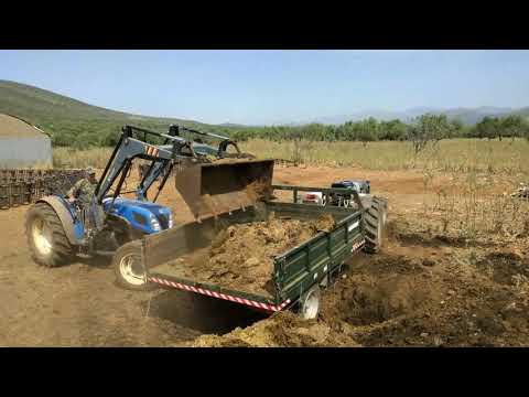 Lamborghini rf target