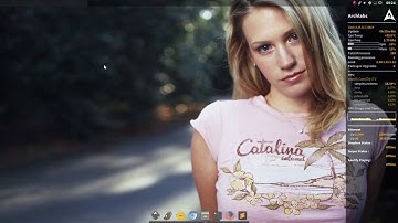ARCHLabs : 44 Archlabs 4.0 personal customization 6 plank themes