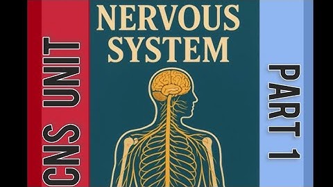 NERVOUS SYSTEM | PART 1 | BASICS 