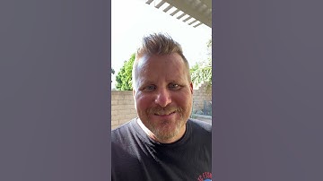 Fly Traps | Do They Actually Catch Flies? | Shorts