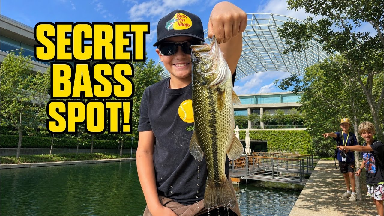 San Ramon’s Best Hidden Fishing Spot?! 🎣 Bishop Ranch Bass Fishing Adventure!