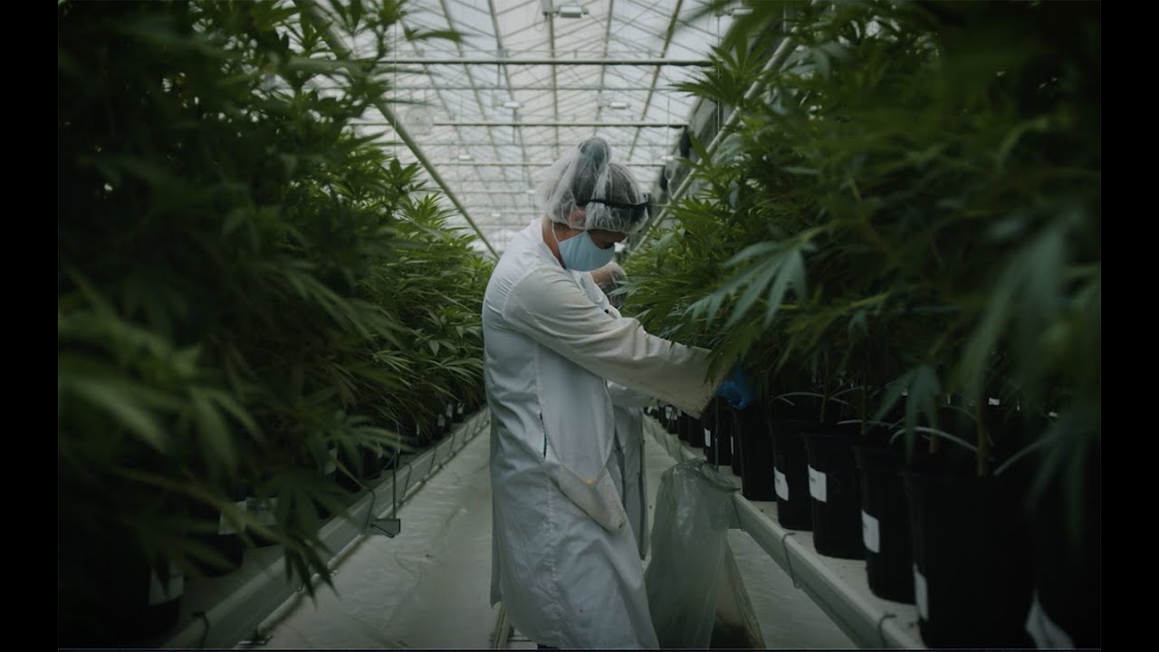 Eve & Co Video - Our Facility, Team & Future