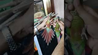 pain apple canor  male female difference..