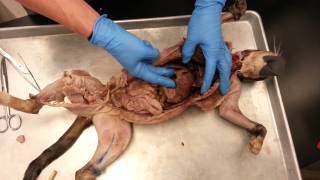 20130425_194338.mp4