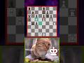 Triple Consecutive Brilliant Sacrifice #chess #brilliantmove #chessgame