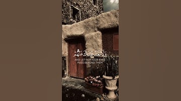 مقطع قرآني من سورة الكهف للشيخ علي جابر رحمه الله 🌿