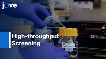 Protein-based Inheritance (S. cerevisiae) High-throughput Screening