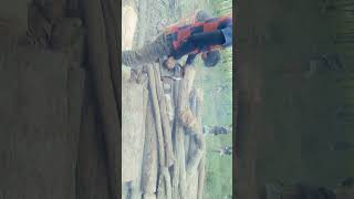 Ring Romah Đi Lam Cui