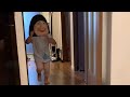 進撃の笑