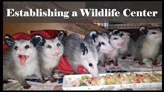 Wildlife Rescue Center (WRL) by Wild Things Media 43 views 2 years ago 3 minutes, 34 seconds