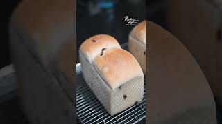 Raisin Toast #youtubeshorts #breadrecipe