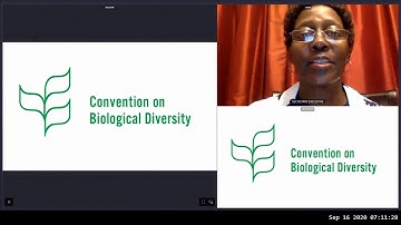 SBI3 Prep: Testing of a Party-Led Review Process, through an Open-Ended Forum (trimmed version)