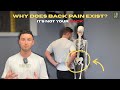 Why Does Back Pain Exist?