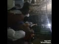 مشاجرات على العيش فى مغاغة فيلم حين ميسرة مشاجرات على العيش فى مغاغة فيلم حين ميسرة