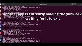 Another app is currently holding the yum lock; waiting for it to exit Net Worth