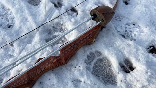 Deer hunt with recurve bow, bear and cougar tracking.