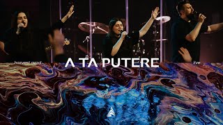 A Ta Putere | Live | Harvest Arad