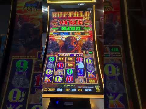 CRAZY BONUS - 4 card poker