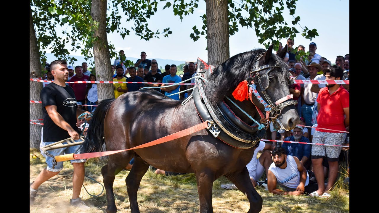 STRAPARIJADA RADOVO 02.08.2022
