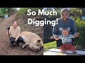 Finally Building Our Off-Grid Irrigation System 