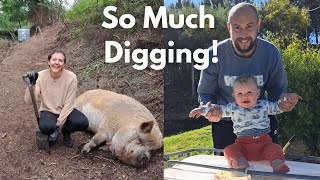 Finally Building Our Off-Grid Irrigation System 