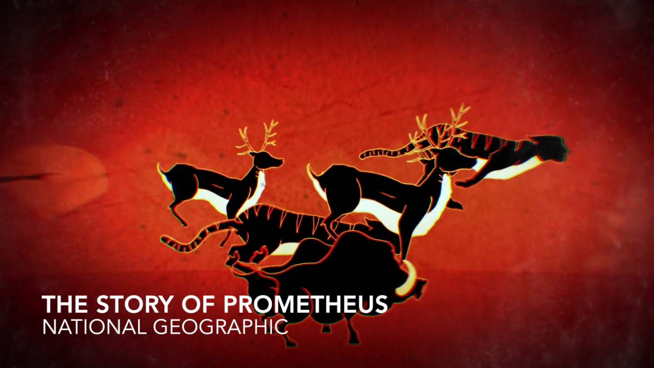 Henry Bernstein Motion Graphics Reel