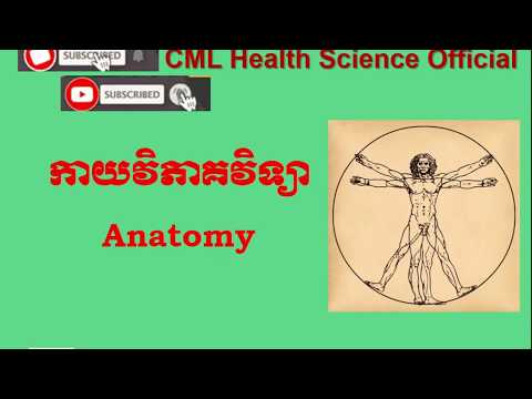 អ្វីទៅជាកាយវិភាគវិទ្យា​? What is Anatomy ? l CML Health Science Official