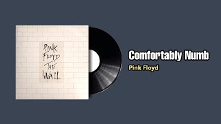 Comfortably Numb - Pink Floyd (1979)