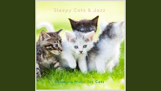 Relaxing Music for Cats -8