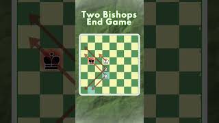 Two Bishops End Game #chess #learnchess #chessgame