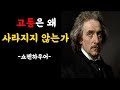 쇼펜하우어 고통이 사라지지 않는 이유 30분 철학