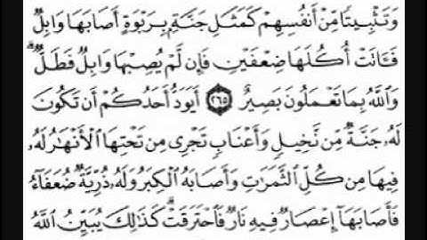 المصحف المرتل سورة البقرة للشيخ سعد الغامدي الجزء 11