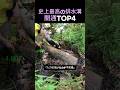 史上最高の排水溝開通TOP4